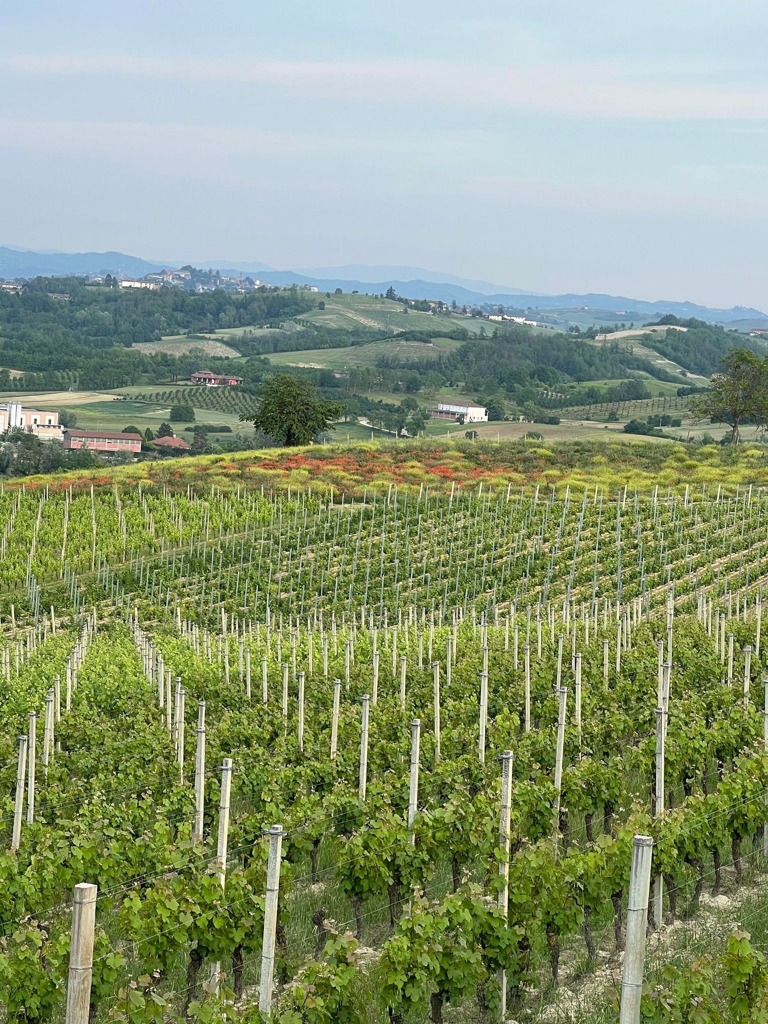 Landlig og sentralt, kort kjøretur til mellomstore byer som Asti, Nizza og Alba Galleribilde