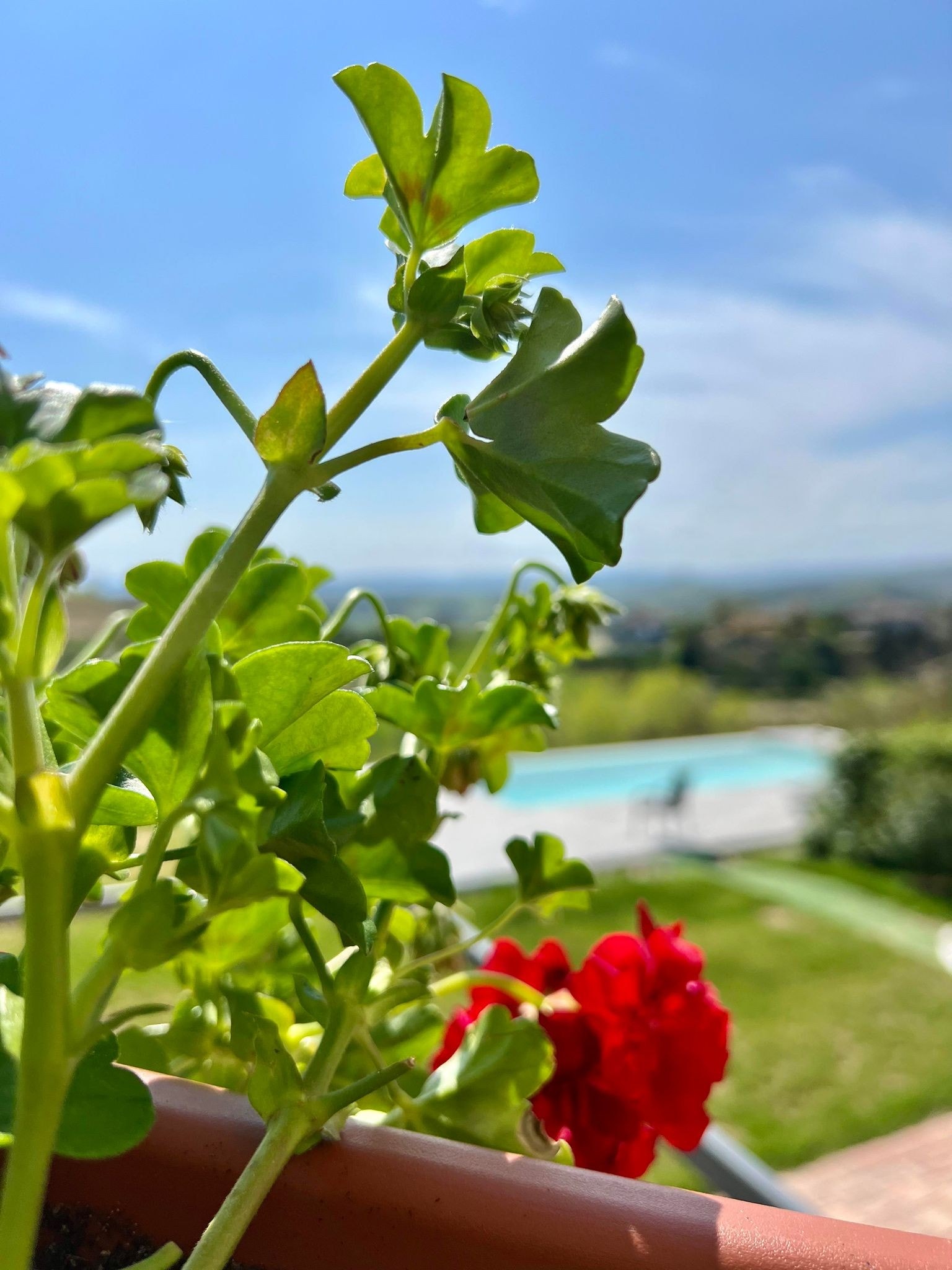 Utsikt
Fra soverommene Galleribilde