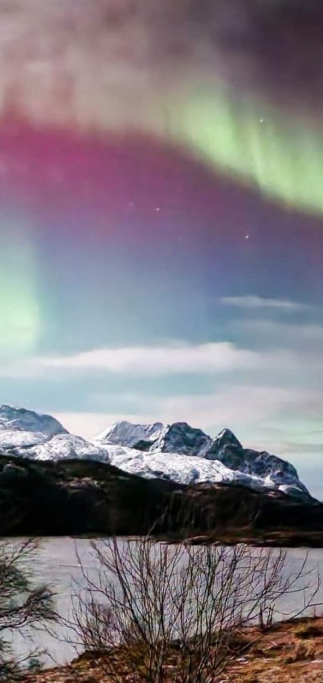 Dønnmannen i Nordlys Galleribilde