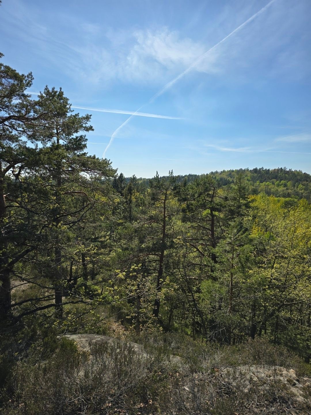 blidenye1 Galleribilde