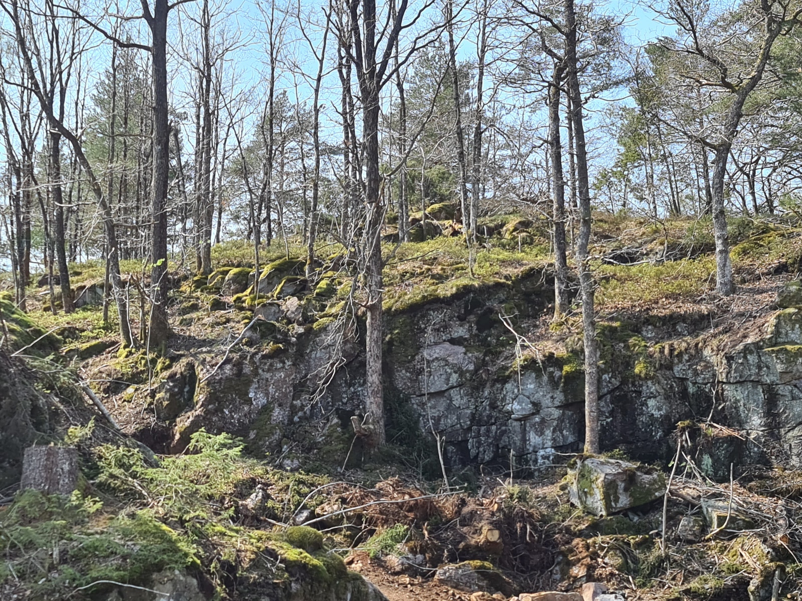 her blir det nye tomter Galleribilde