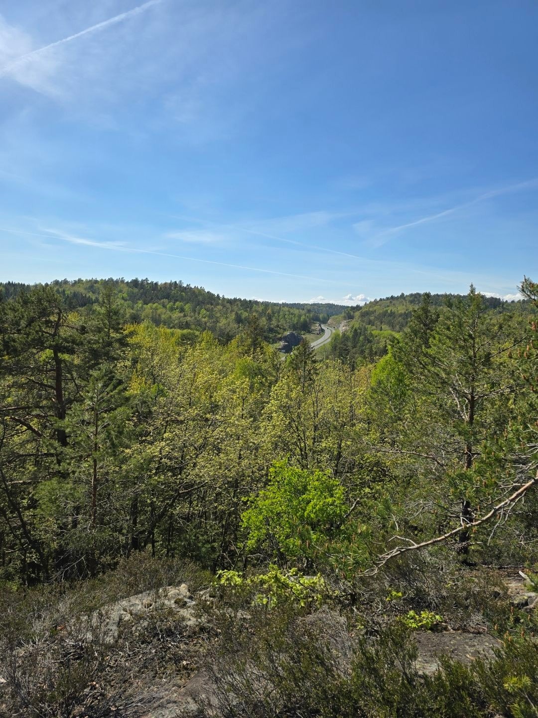 bildenye4 Galleribilde