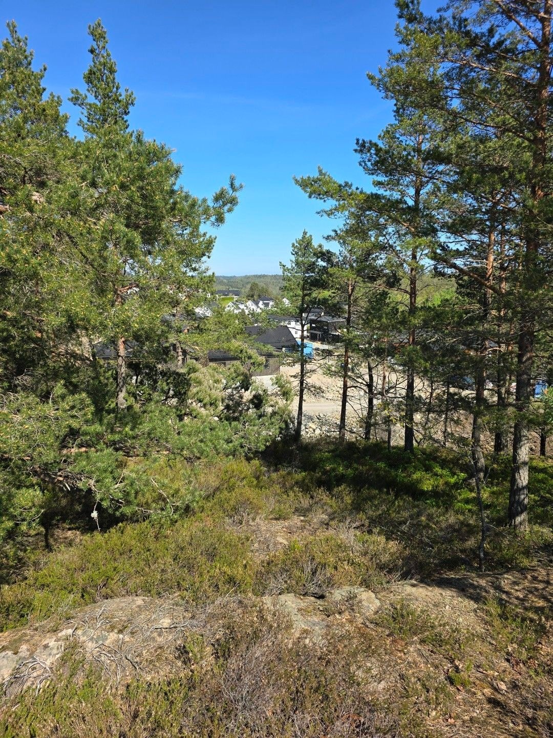 blidenye3 Galleribilde