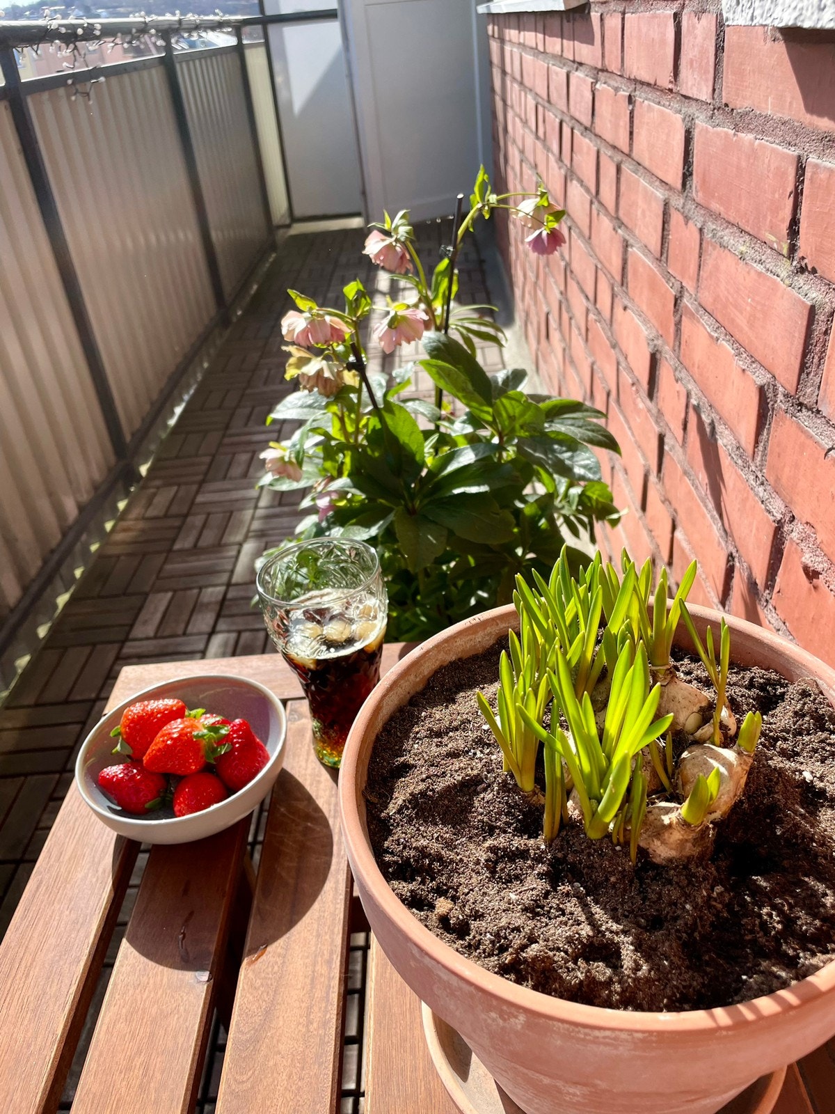 Forfriskninger på balkongen Galleribilde