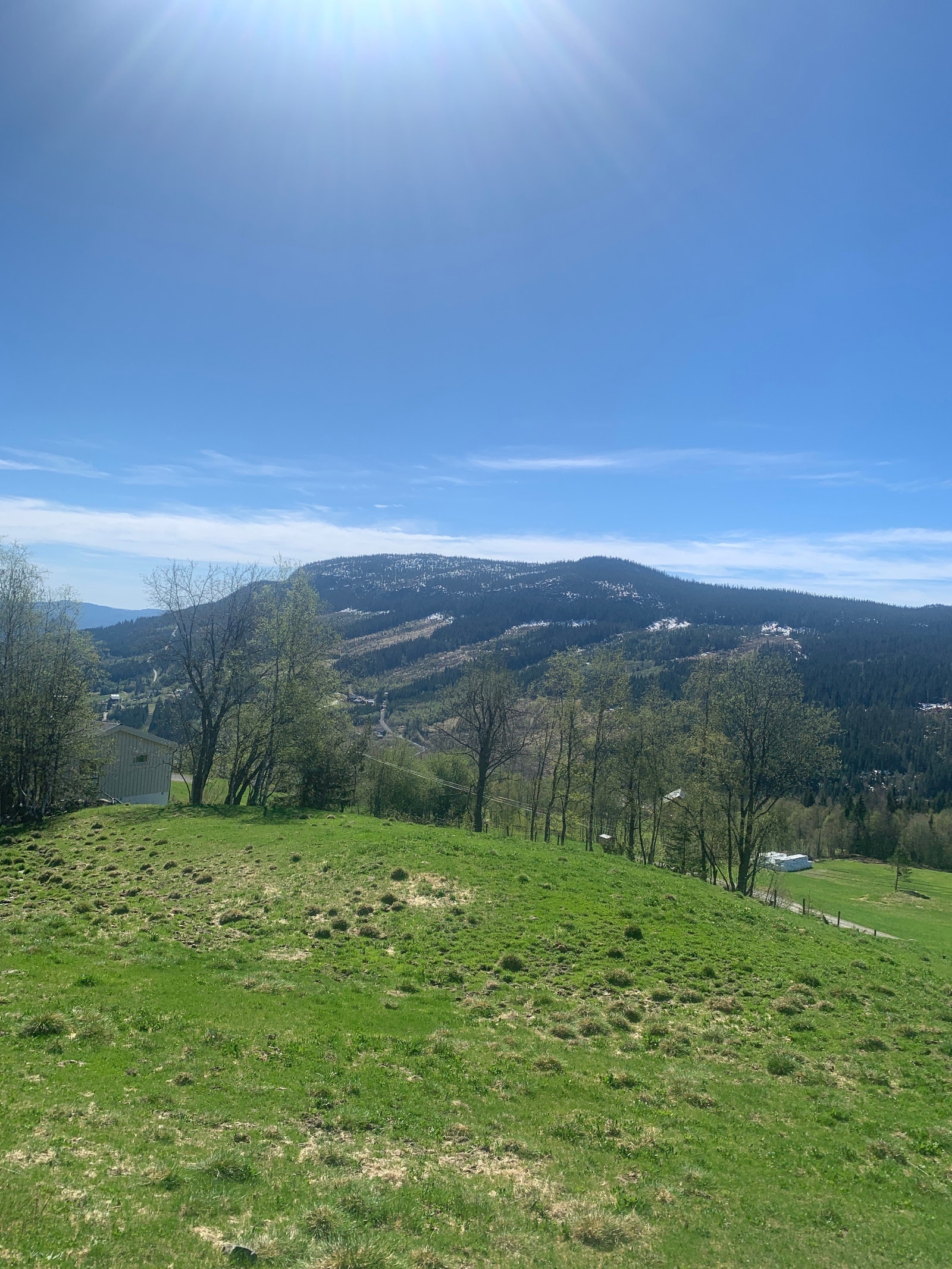 Tomta ovenfra Galleribilde