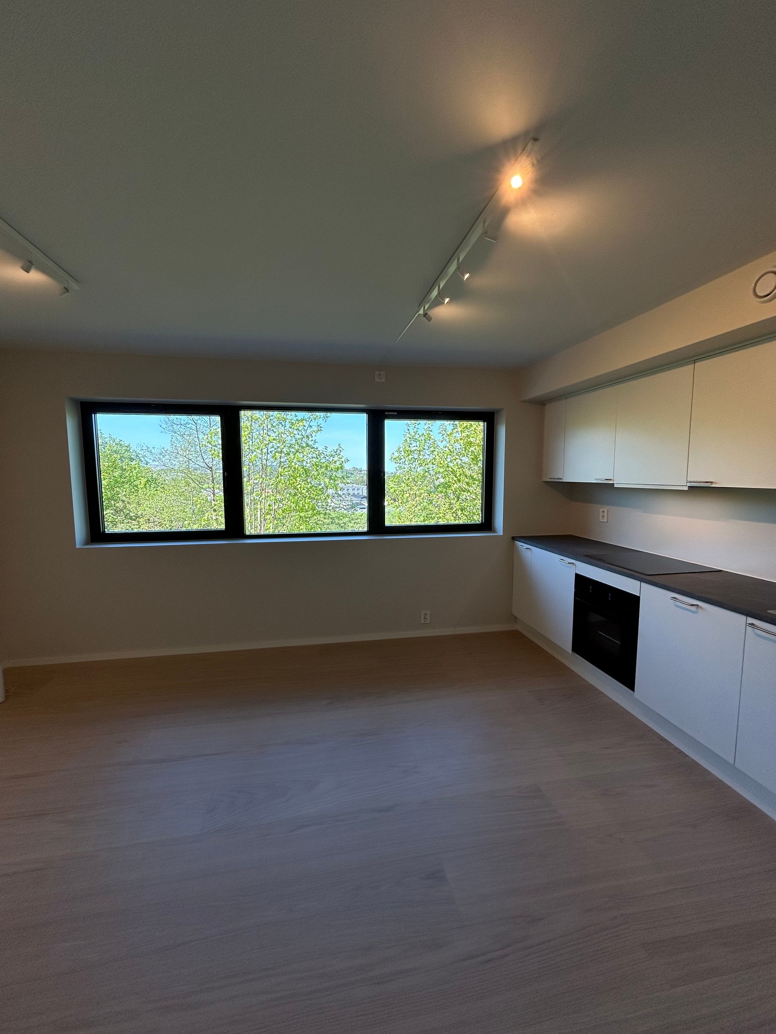 Stue/kjøkken Galleribilde