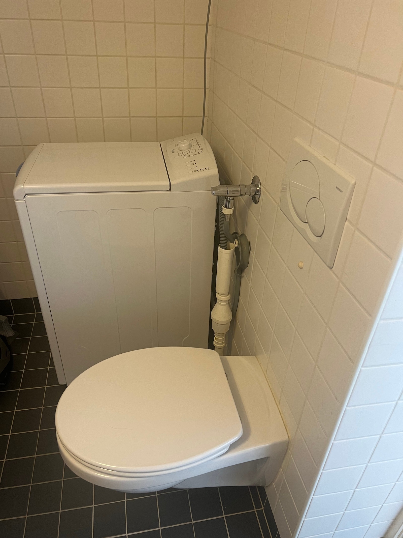 Toalett og vaskemaskin Galleribilde