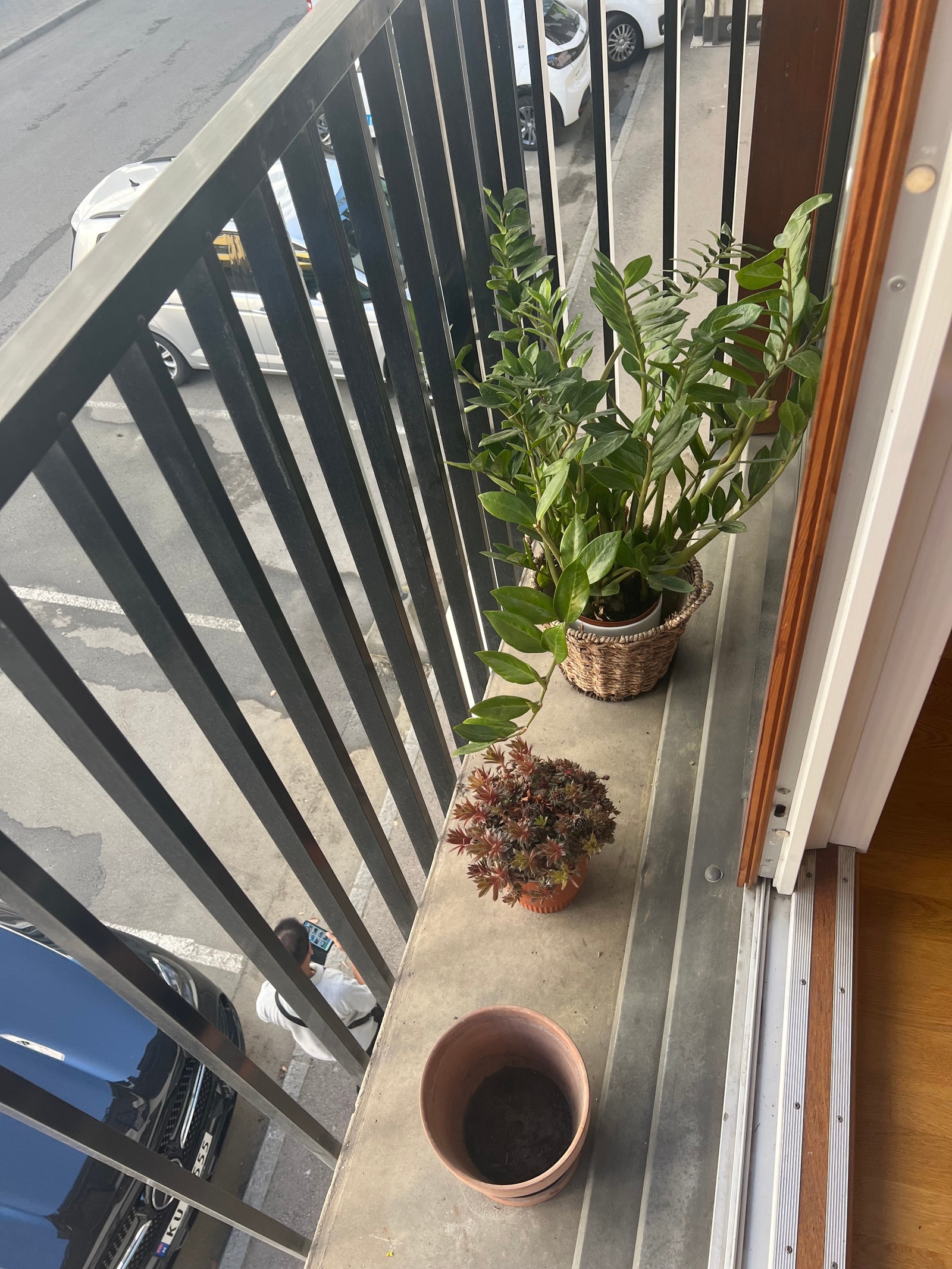 Frank balkong Galleribilde