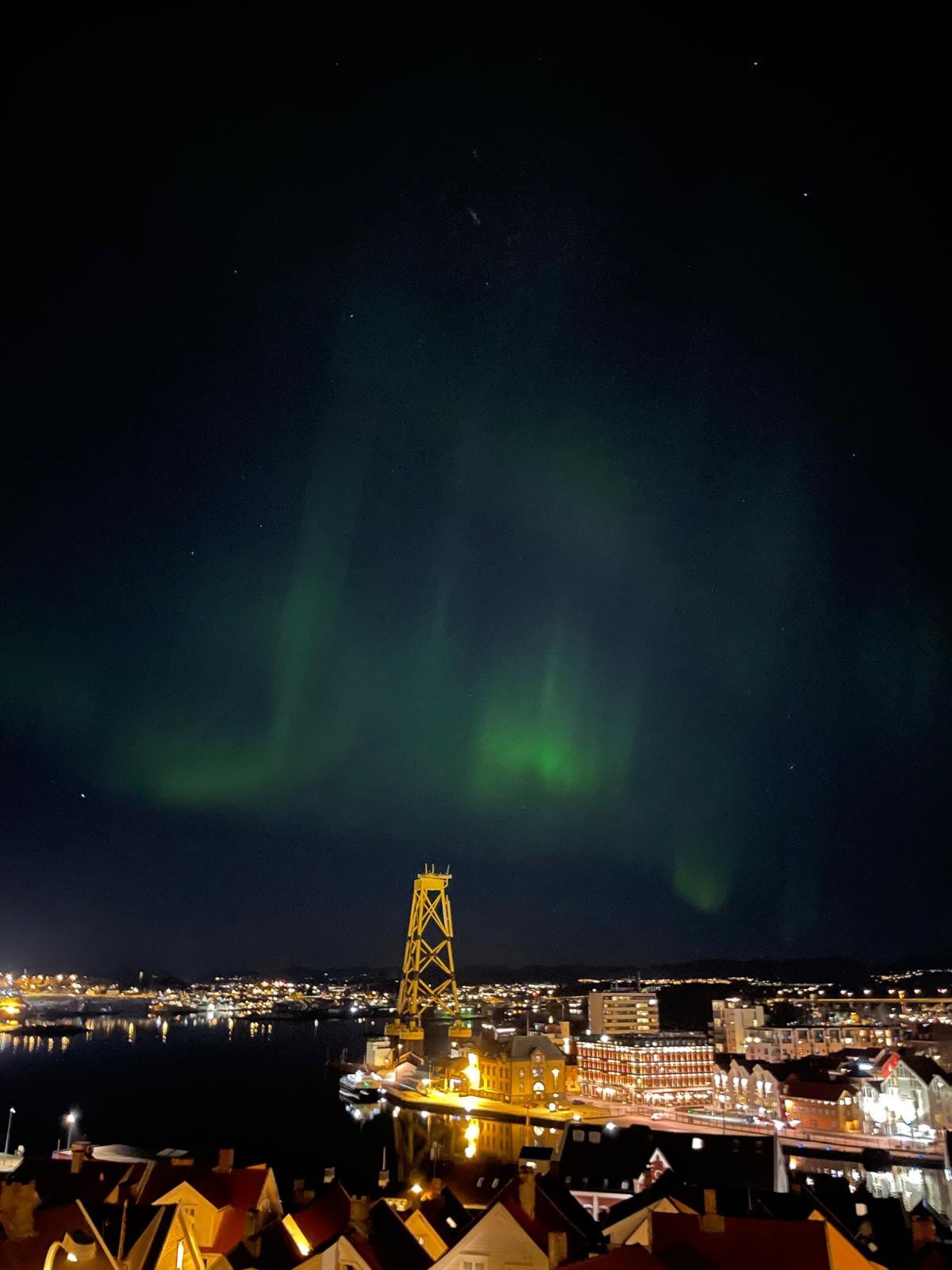 Fra takterrassen Galleribilde