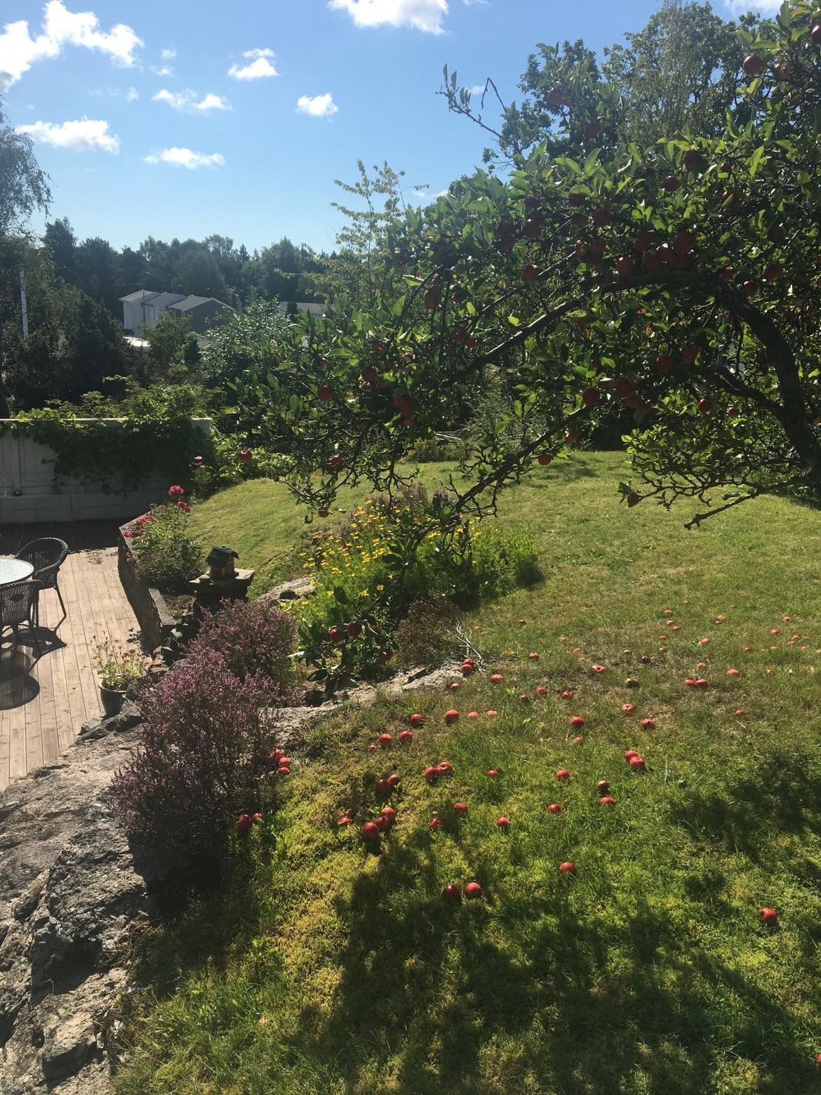 Koselig hage Galleribilde