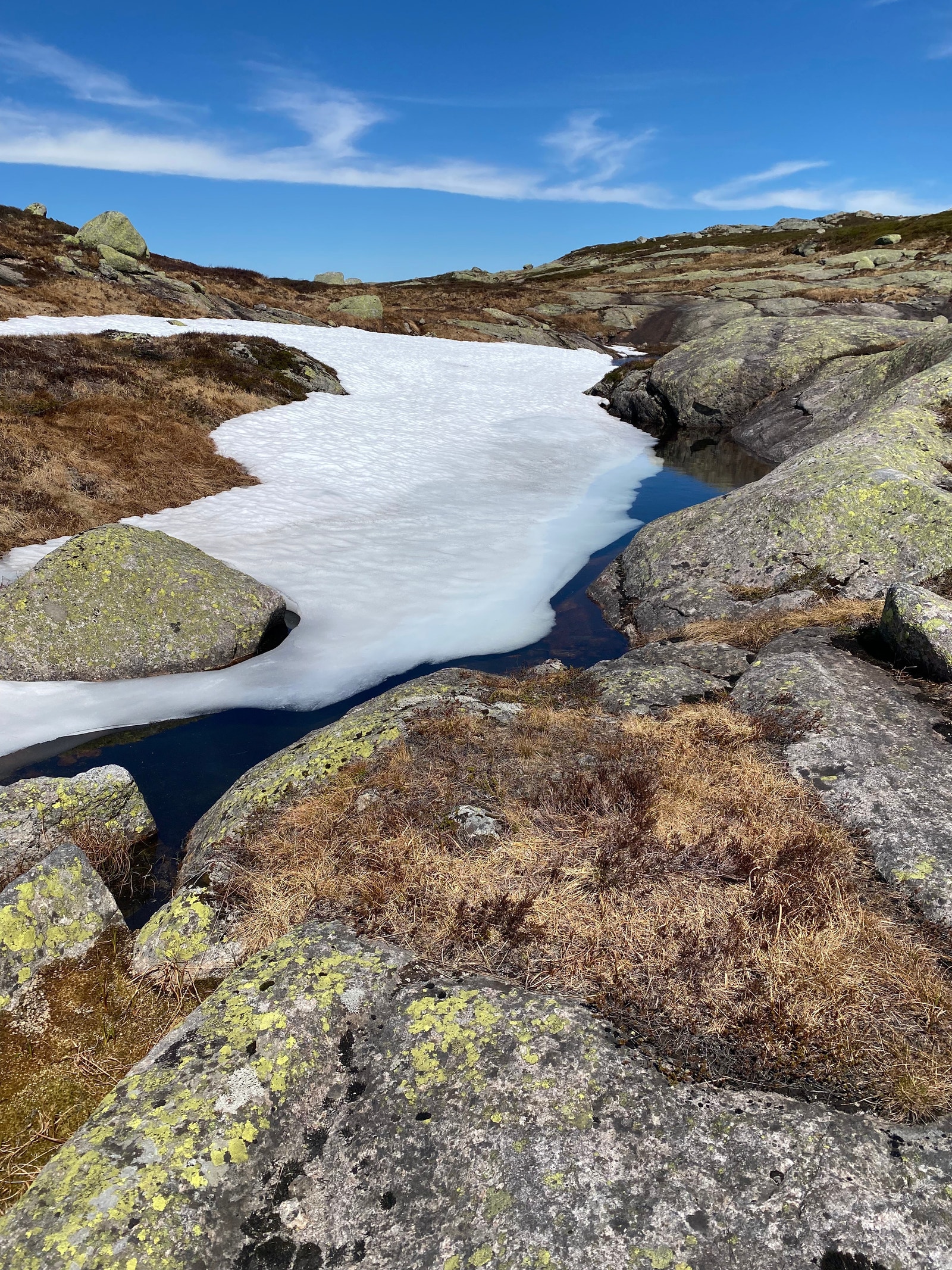 Vårstemning på Knaben Galleribilde