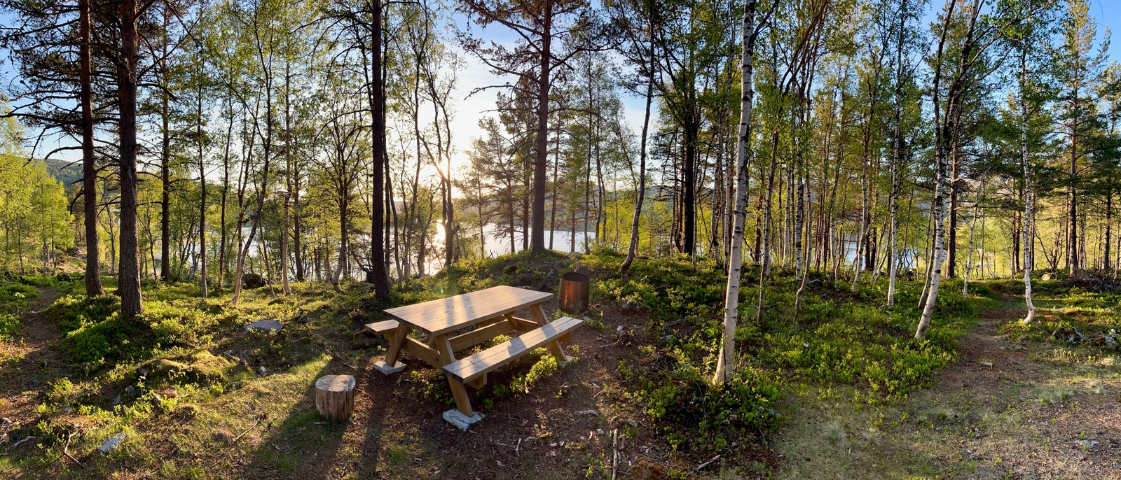 Nærområde - frisbee golf bane like utenfor Galleribilde