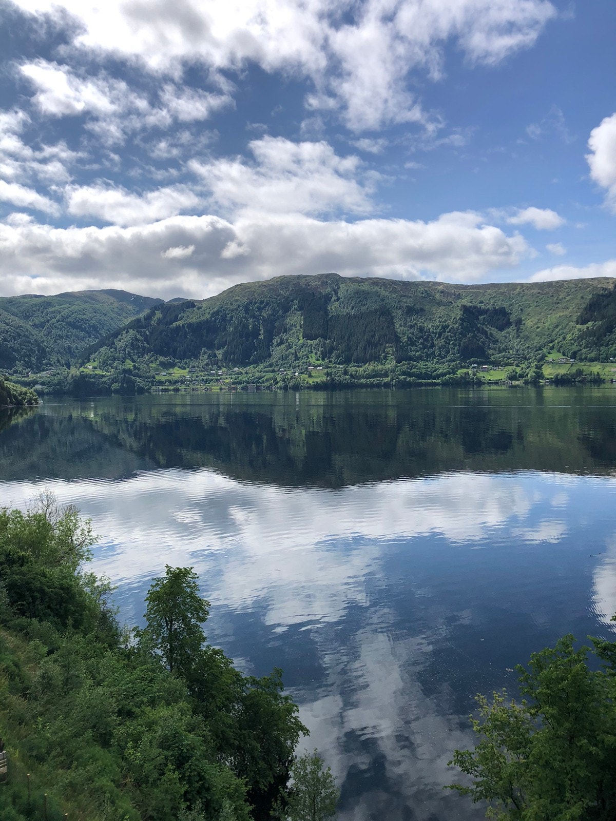 Sørfjorden Galleribilde
