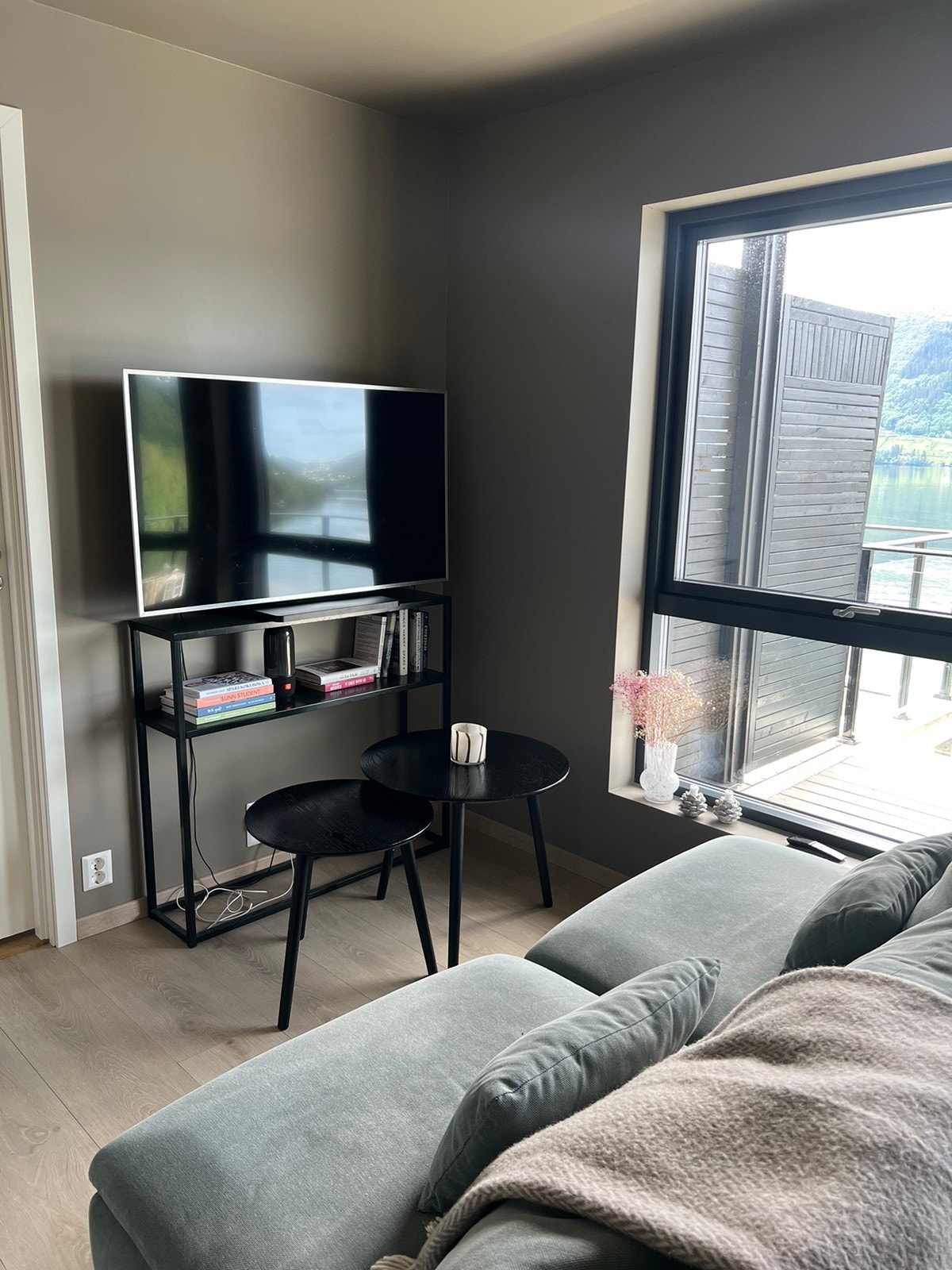 TV er ikke med i leiligheten Galleribilde