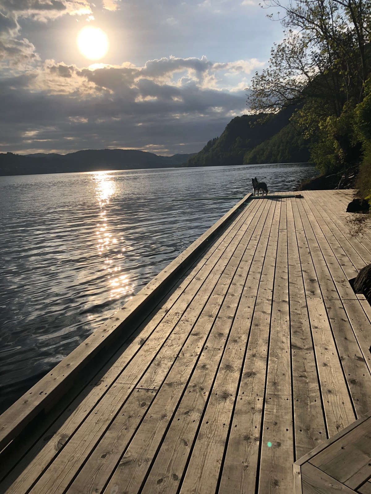 Felles brygge med stupebrett og gode fiske muligheter. Galleribilde
