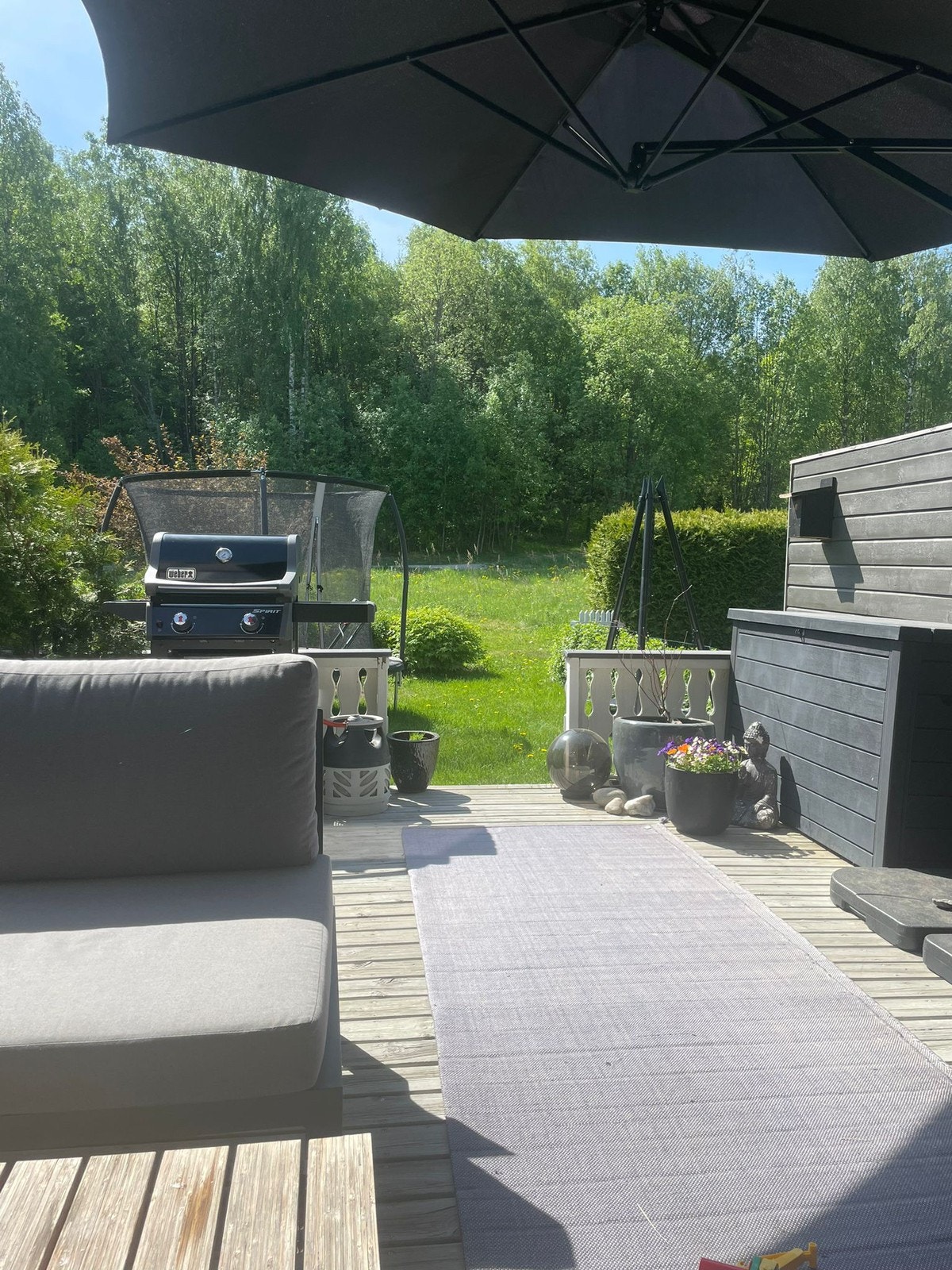 Fine sommerdager i hagen Galleribilde