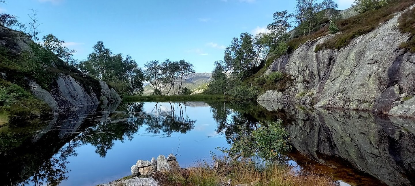 Tjern i nærheten, Galleribilde