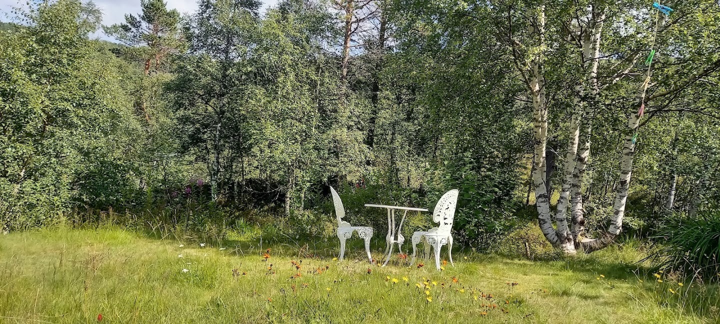 Hagen bak huset Galleribilde