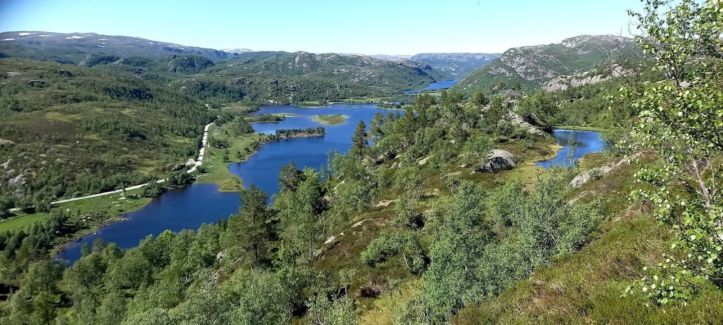 Utsikt over Fidjelandsvannet fra en høyde i nærheten. Galleribilde