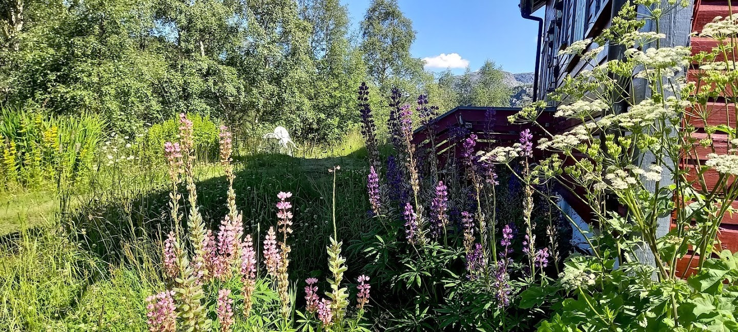 Hagen foran huset Galleribilde