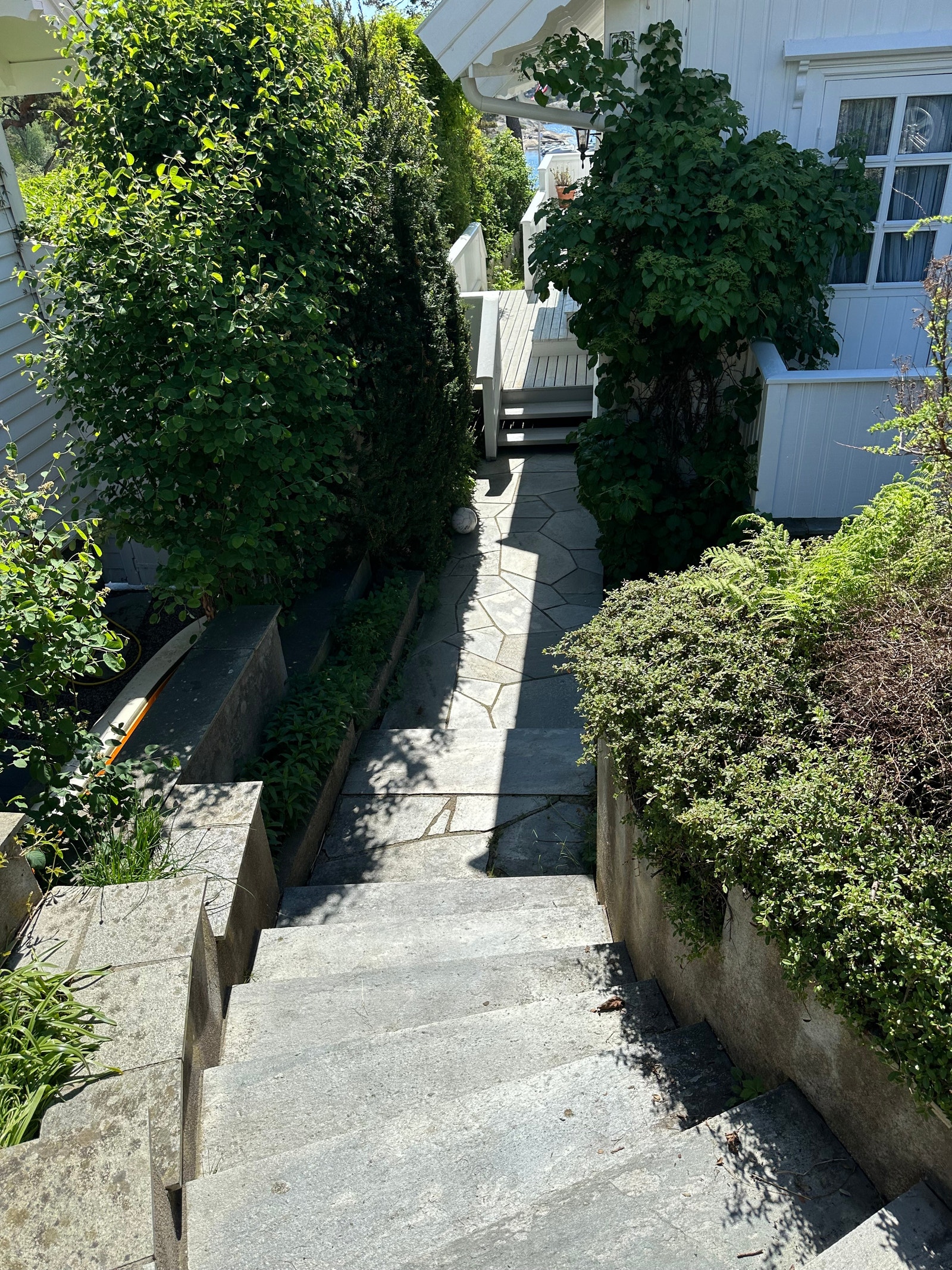 Ankomst-trapp Galleribilde