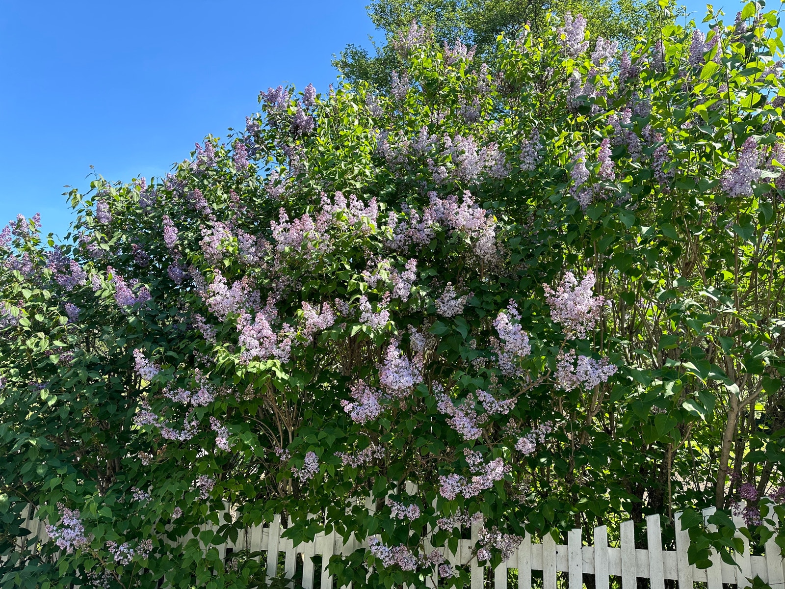 Stemningsbilde fra Bølingshavn Galleribilde