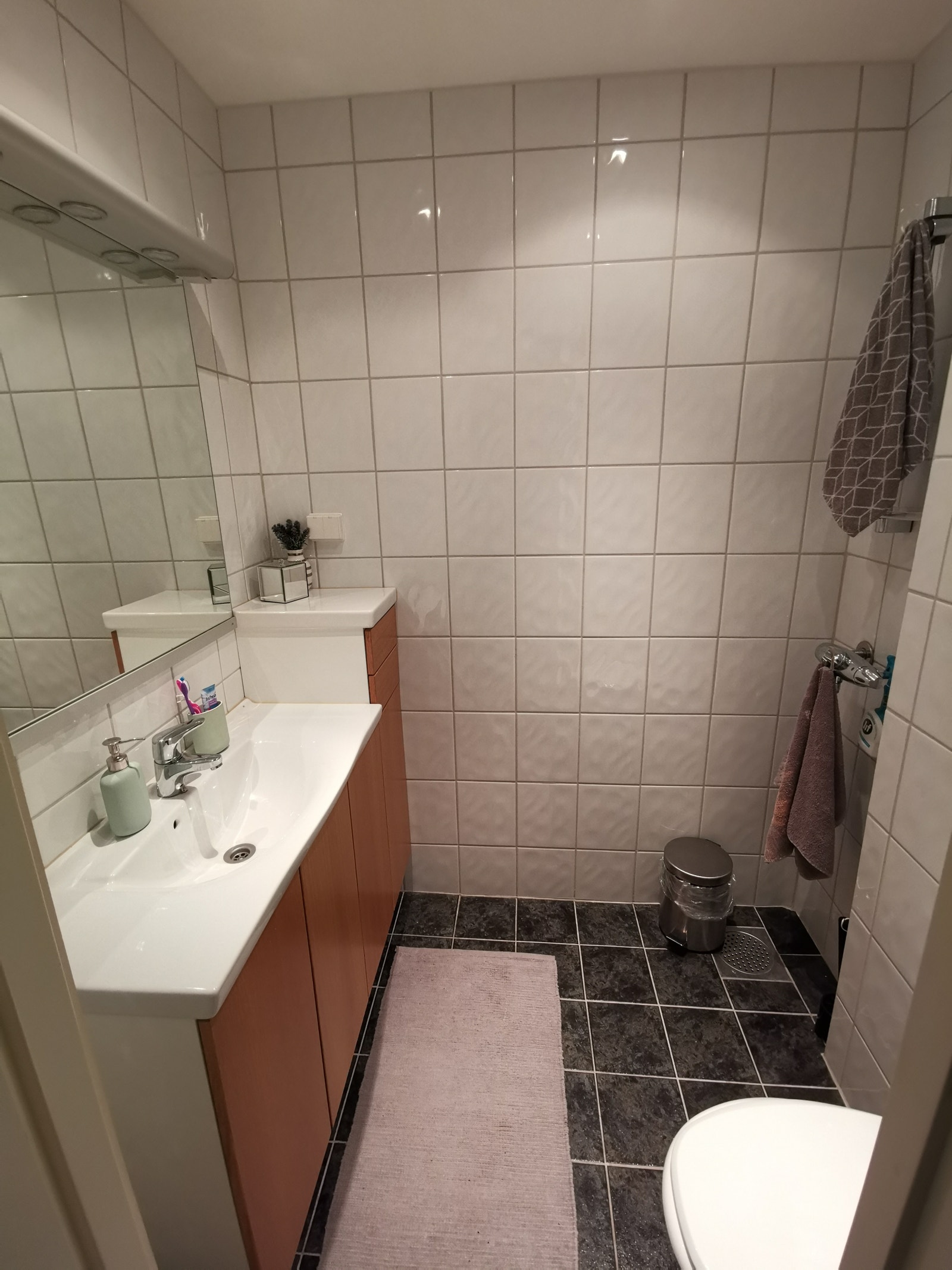 Toalettrom Galleribilde