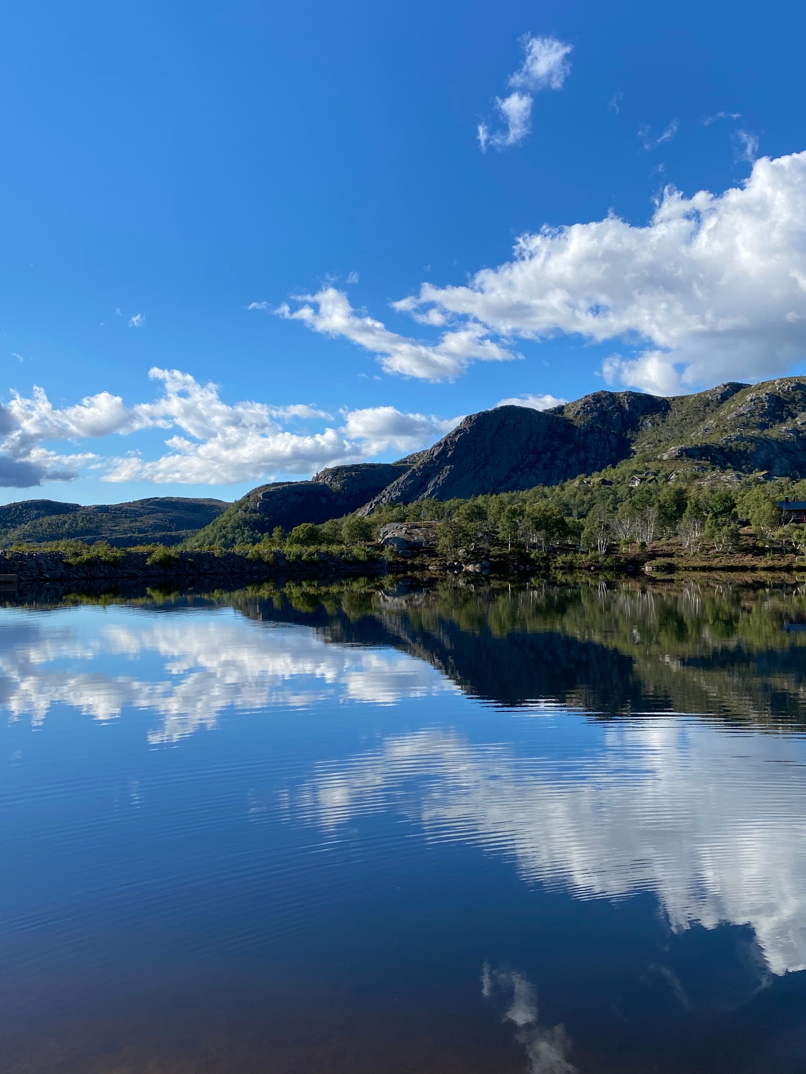 Nærområdet Galleribilde