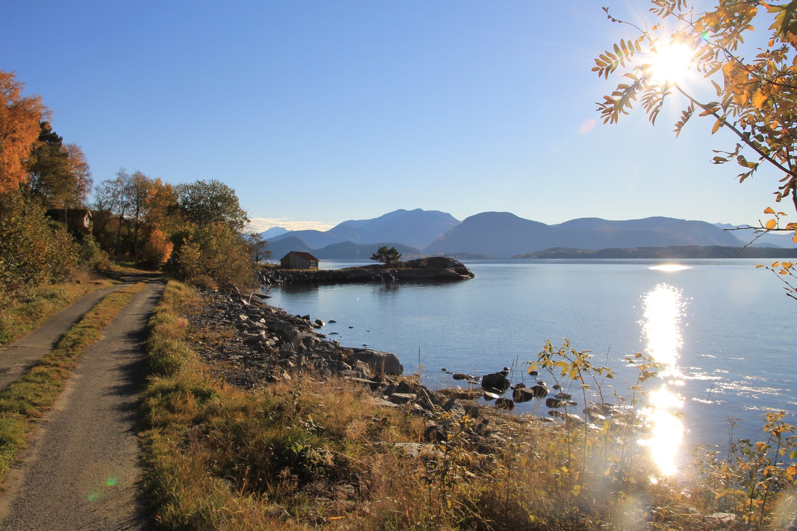 Naustområdet. Galleribilde