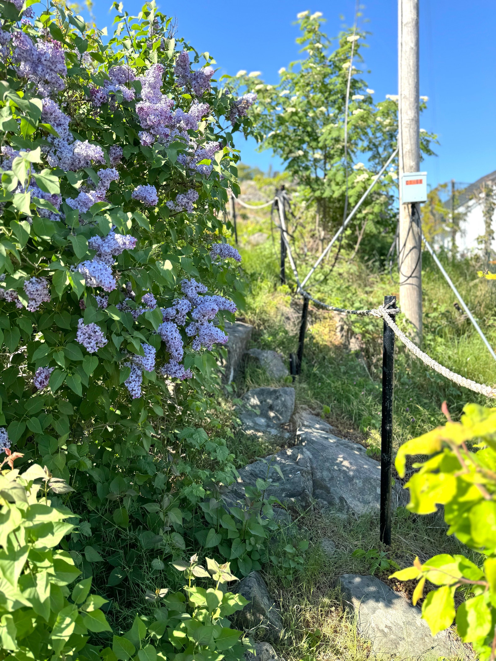 Sti til utsiktspunkt Galleribilde