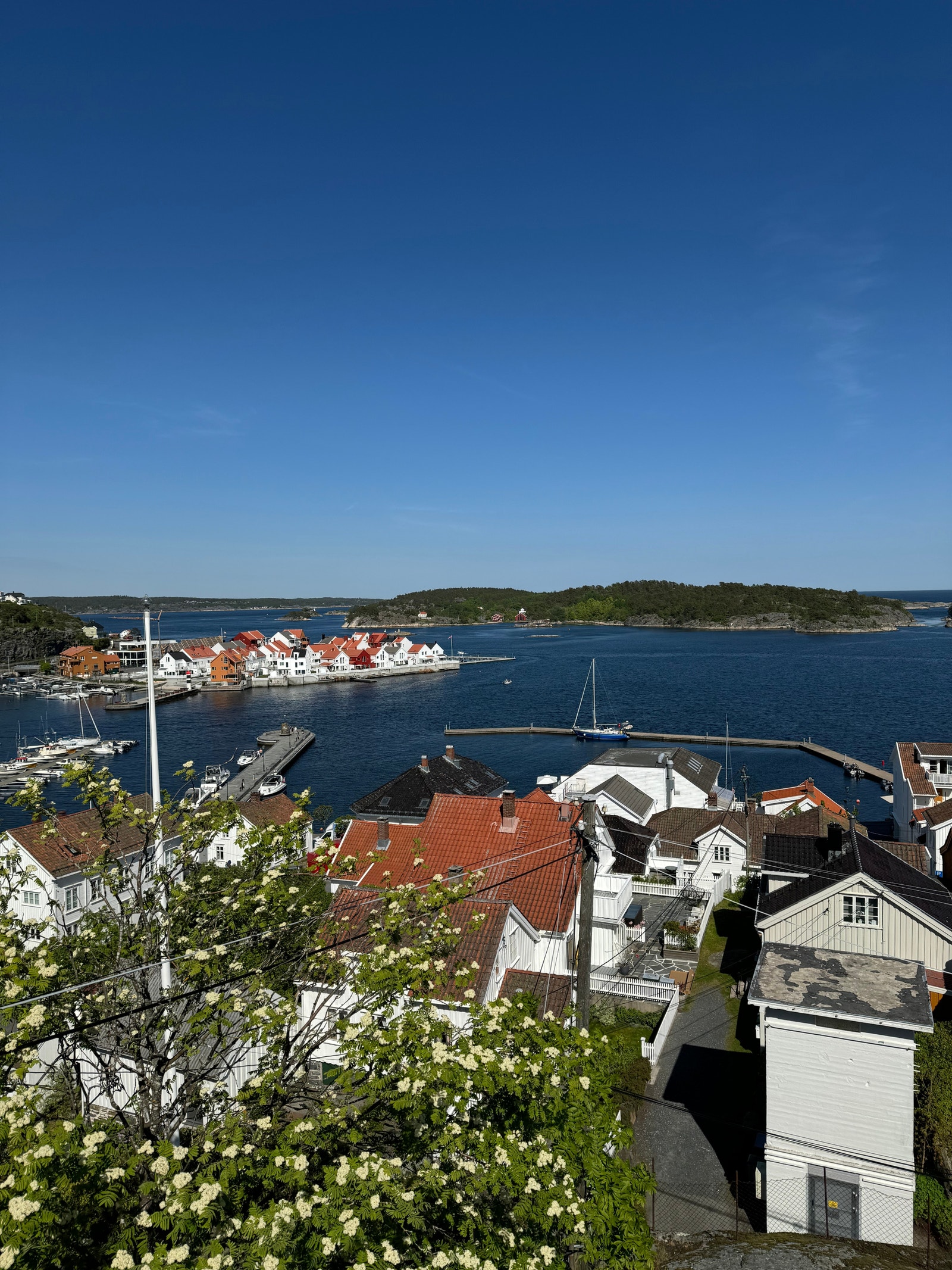 Utsikt fra utsiktspunkt Galleribilde