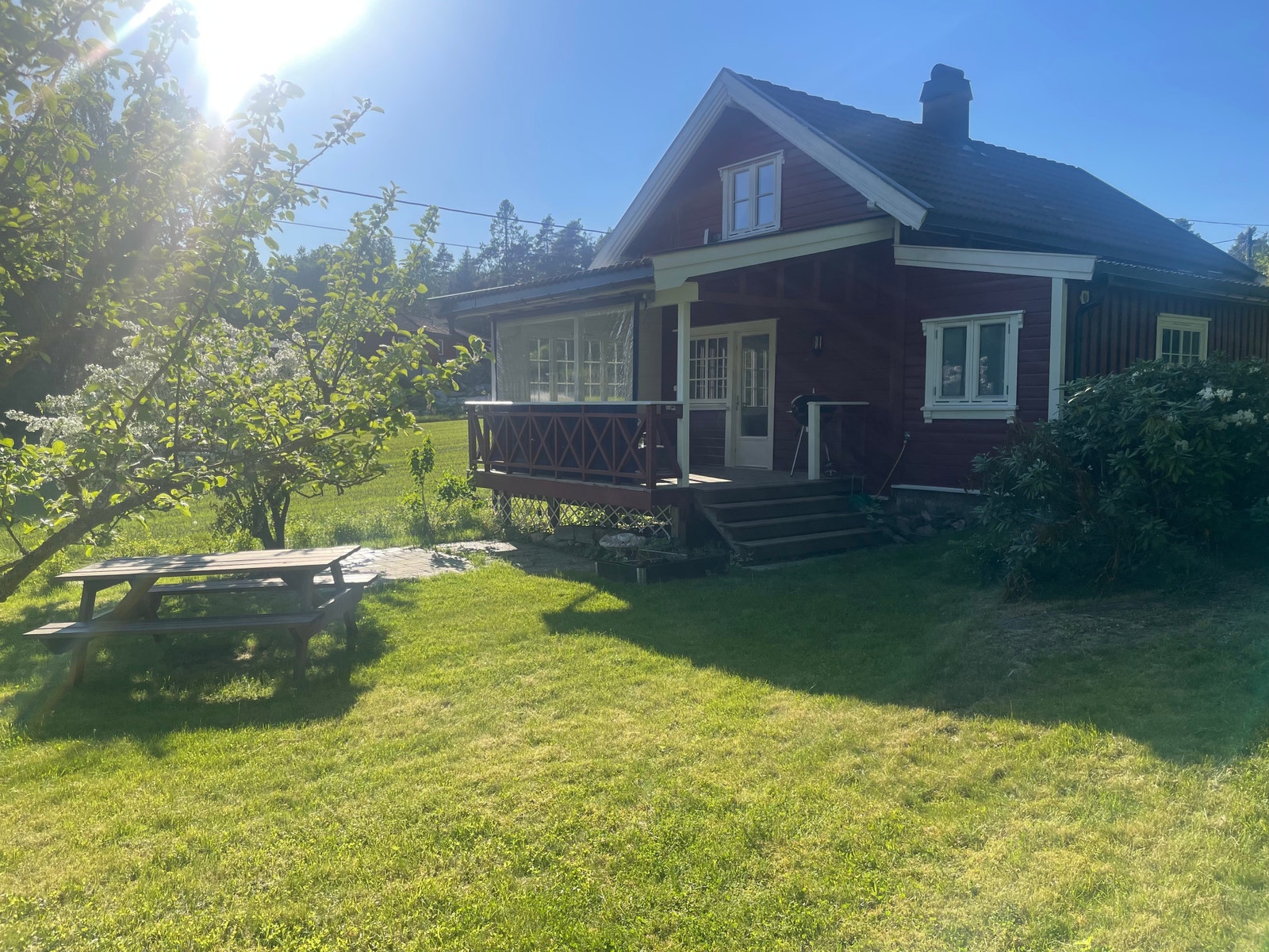 Stor hage med sittebenk Galleribilde