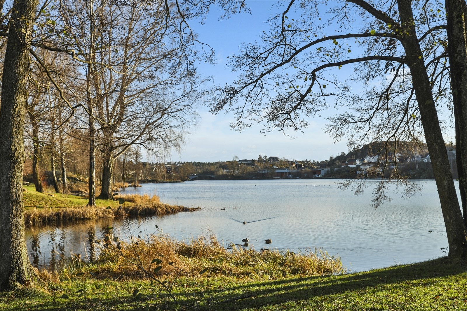 Kort vei til Nesparken og Vansjø - her kan du bade i ferskvann og leie deg kano eller kajakk Galleribilde