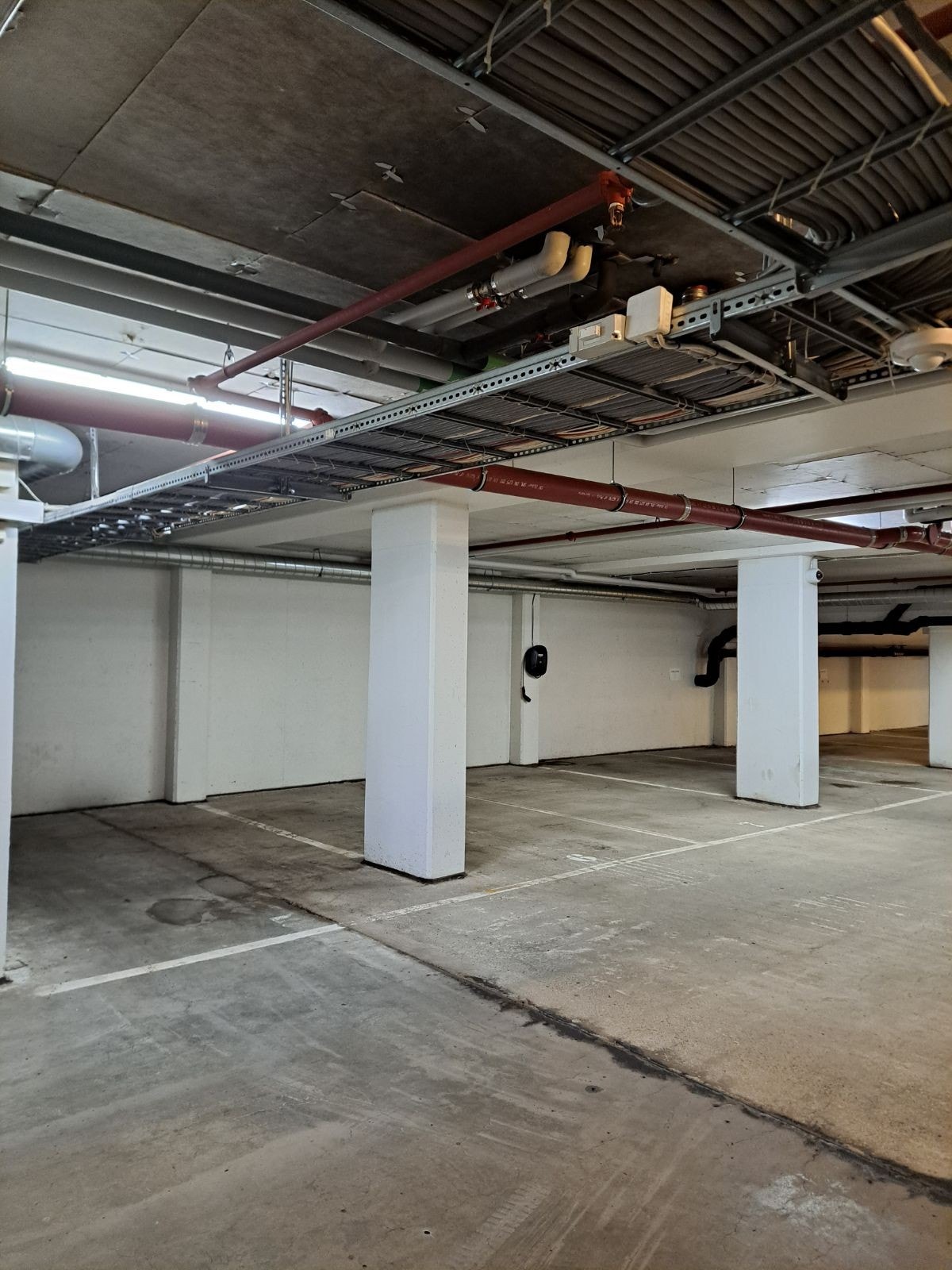 Nyvasket og fint hver vår! Galleribilde