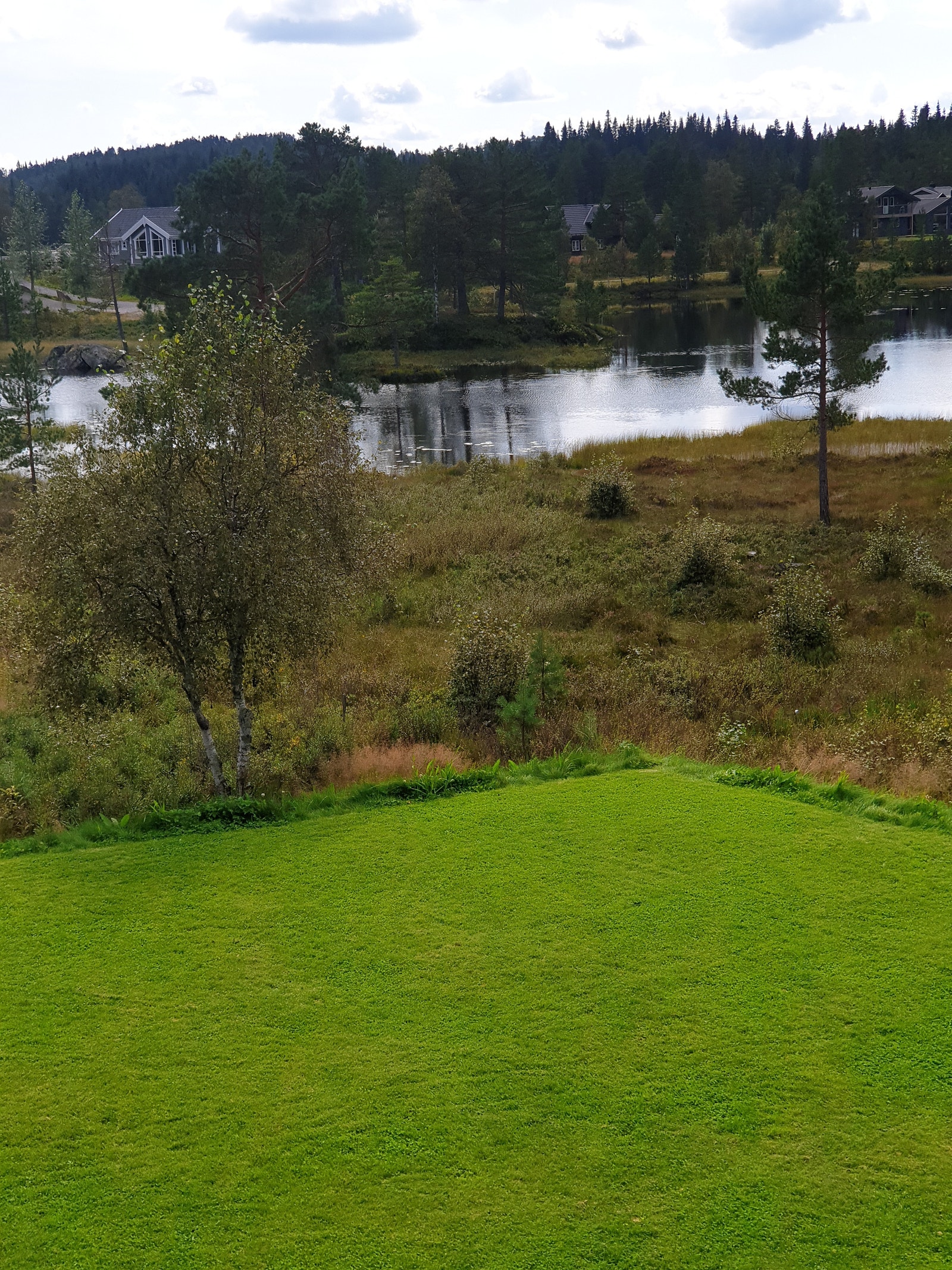 1 Galleribilde