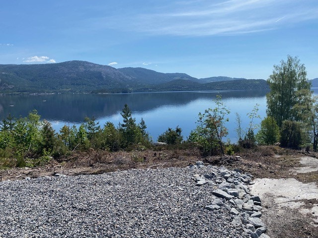 Nydelig utsikt mot vannet Galleribilde