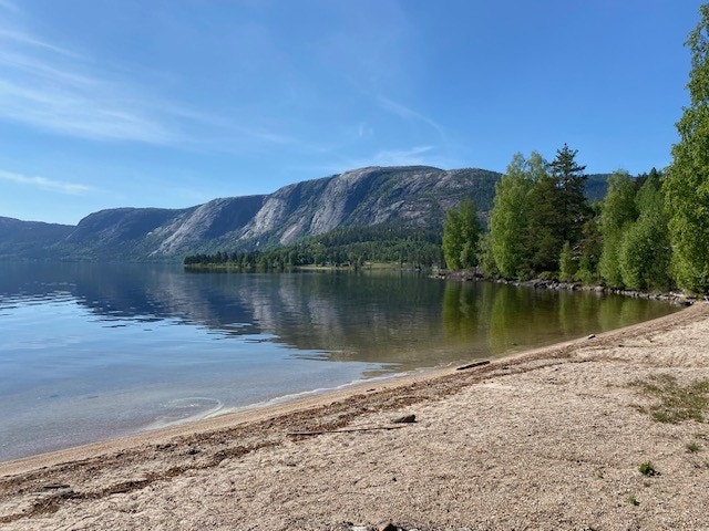 Flott sandstrand i gangavstand Galleribilde