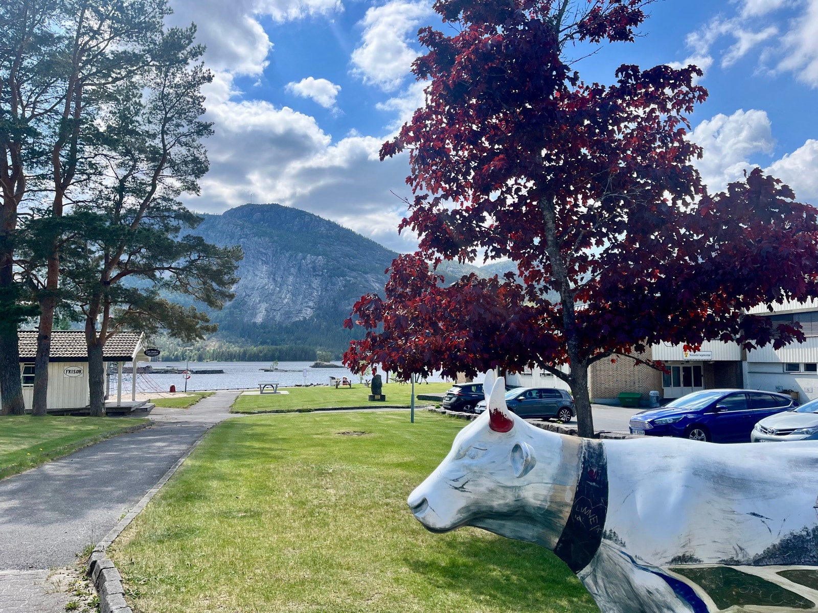 Fra Treungen sentrum Galleribilde