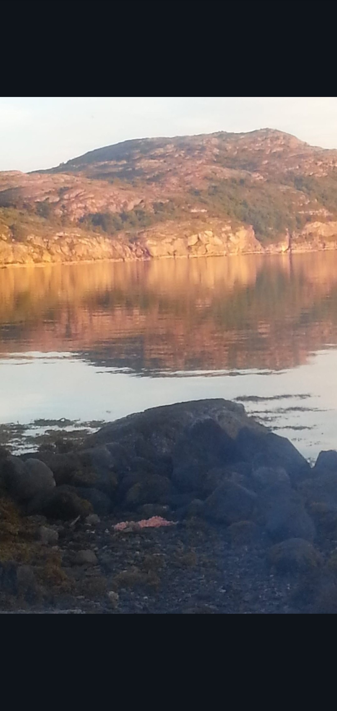 Lundstø Galleribilde