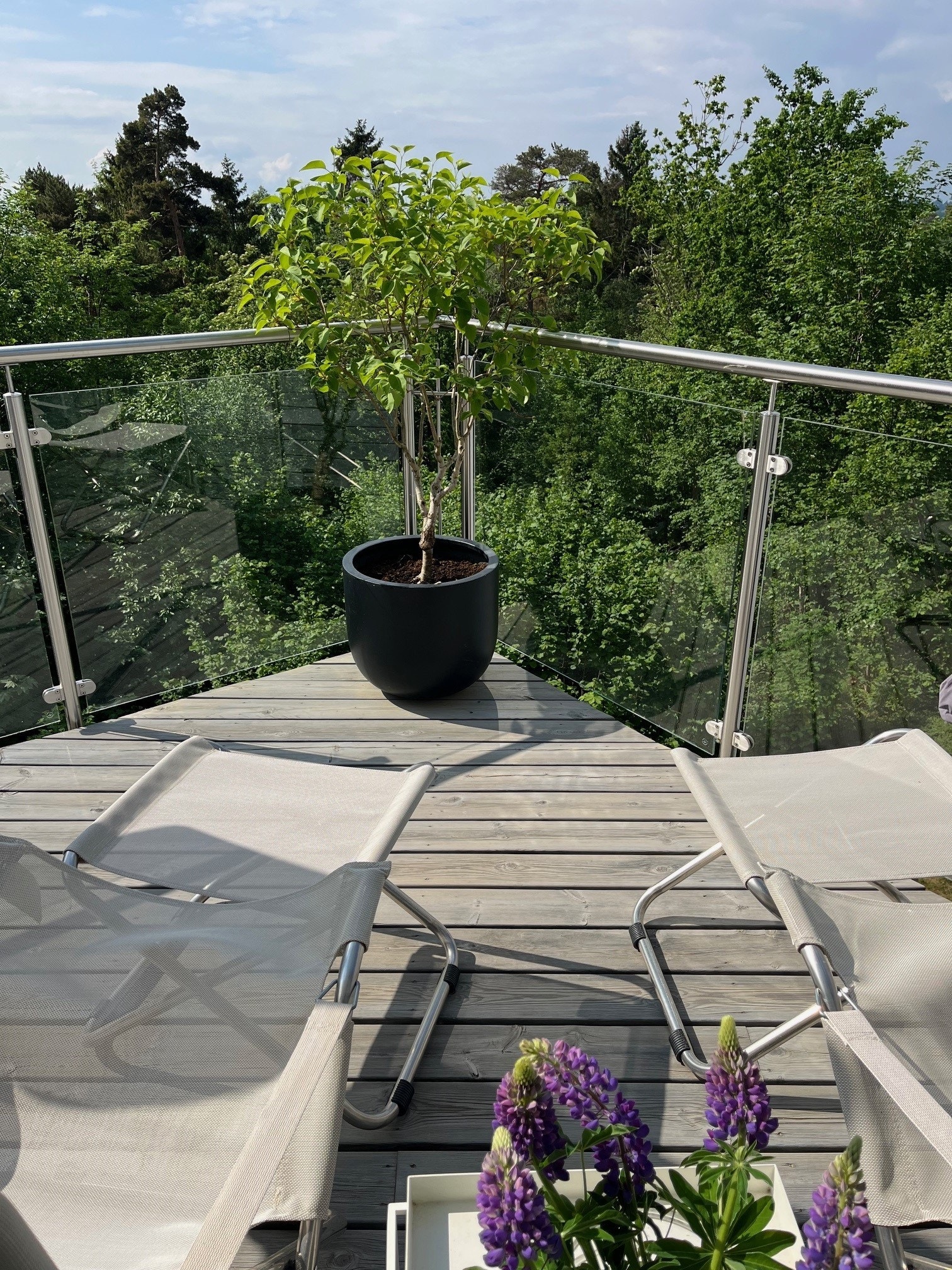 Veranda i 2.etg. Galleribilde