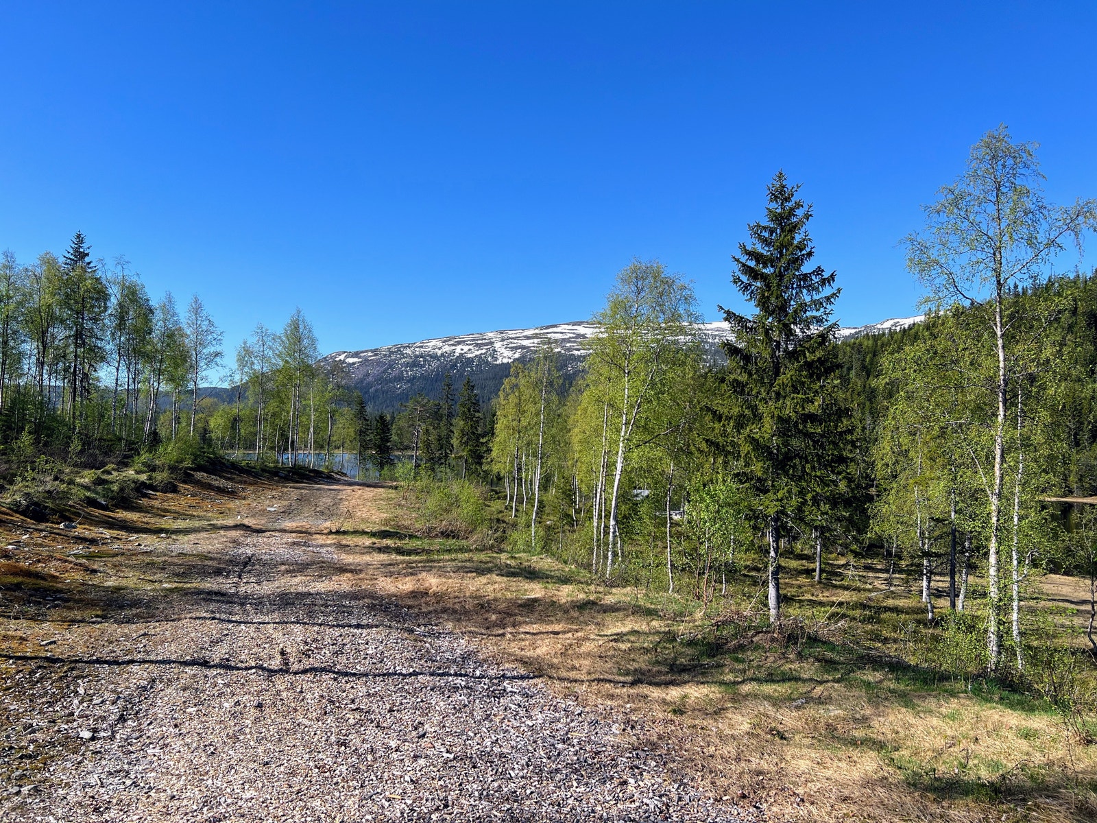 Skiløype og flislagt sykkelsti mellom Killingtjern og Nes i Ådal Galleribilde