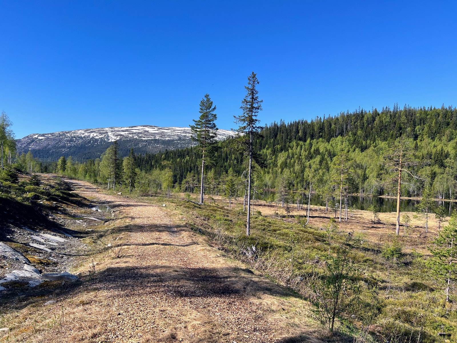 Skiløype og sykkelsti langs Killingtjern, som går helt til Nes i Ådal. Skiløypa er koplet sammen med resten av løypenettet på Vikerfjell. Galleribilde