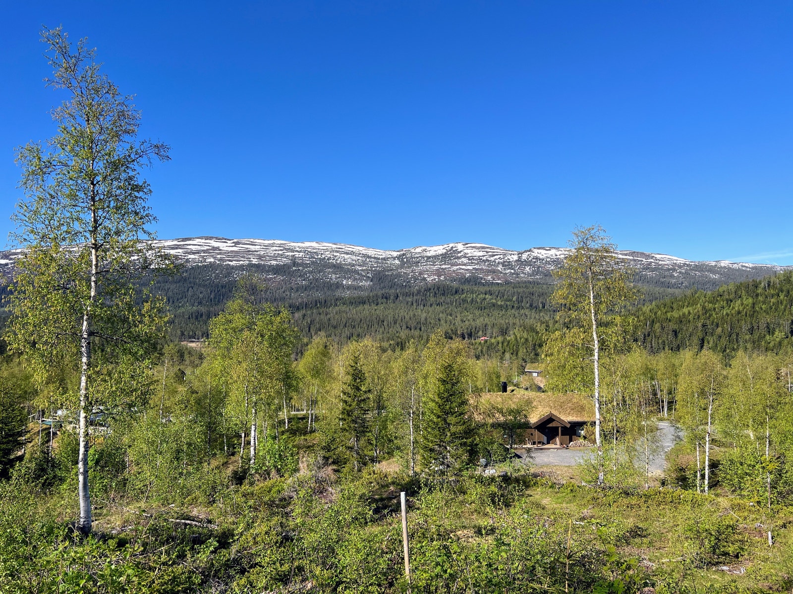 Tomt 131 - 3,5 dekar - kr 890.000,- Galleribilde