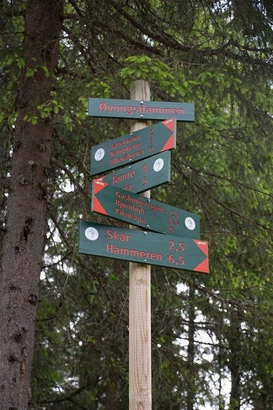 Gode turmuligheter i umiddelbar nærhet Galleribilde