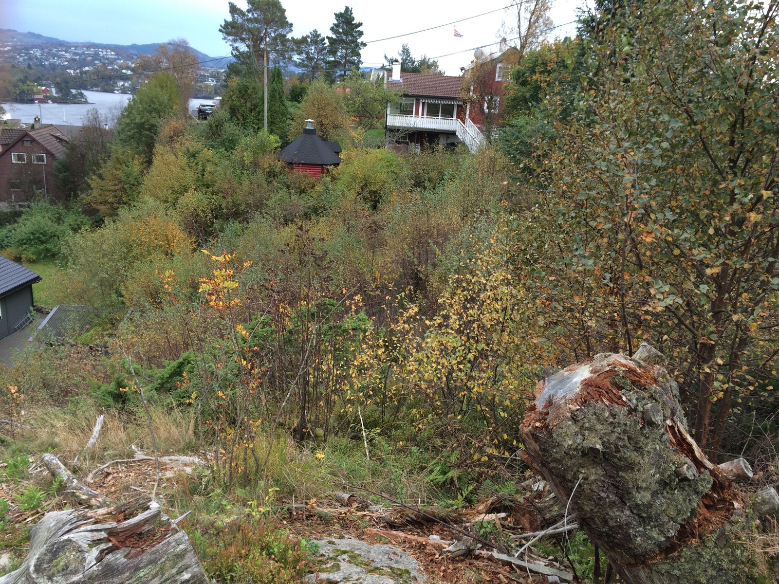 Utsikt mot sør Galleribilde