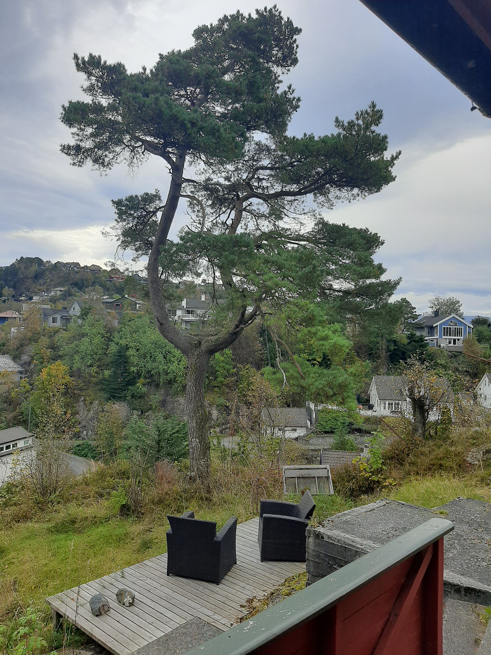 Utsikt mot øst Galleribilde