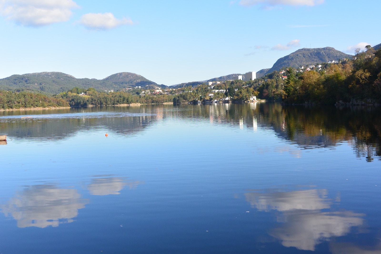 Sælen vannet Galleribilde
