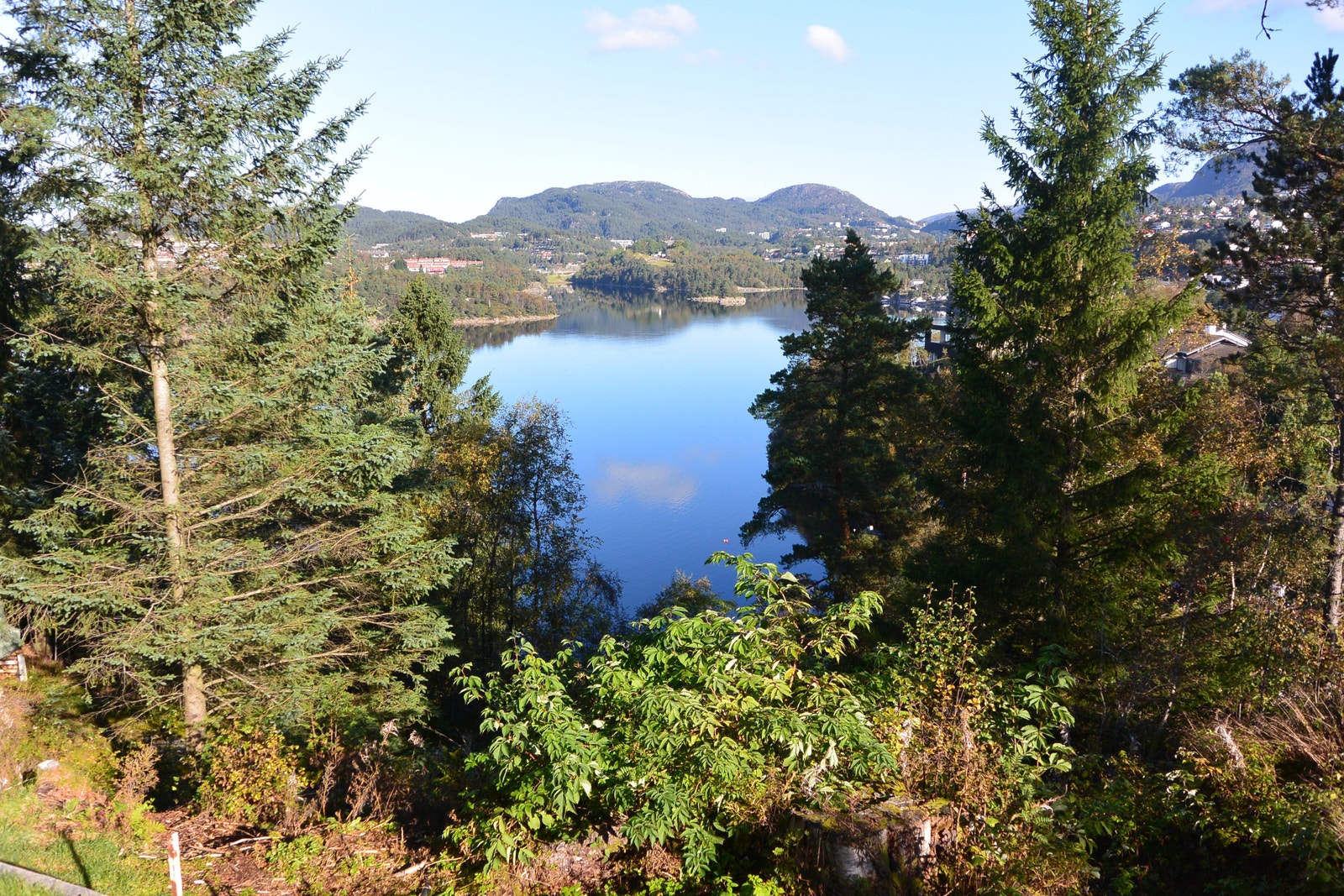 Utsikt mot Sælen vannet Galleribilde