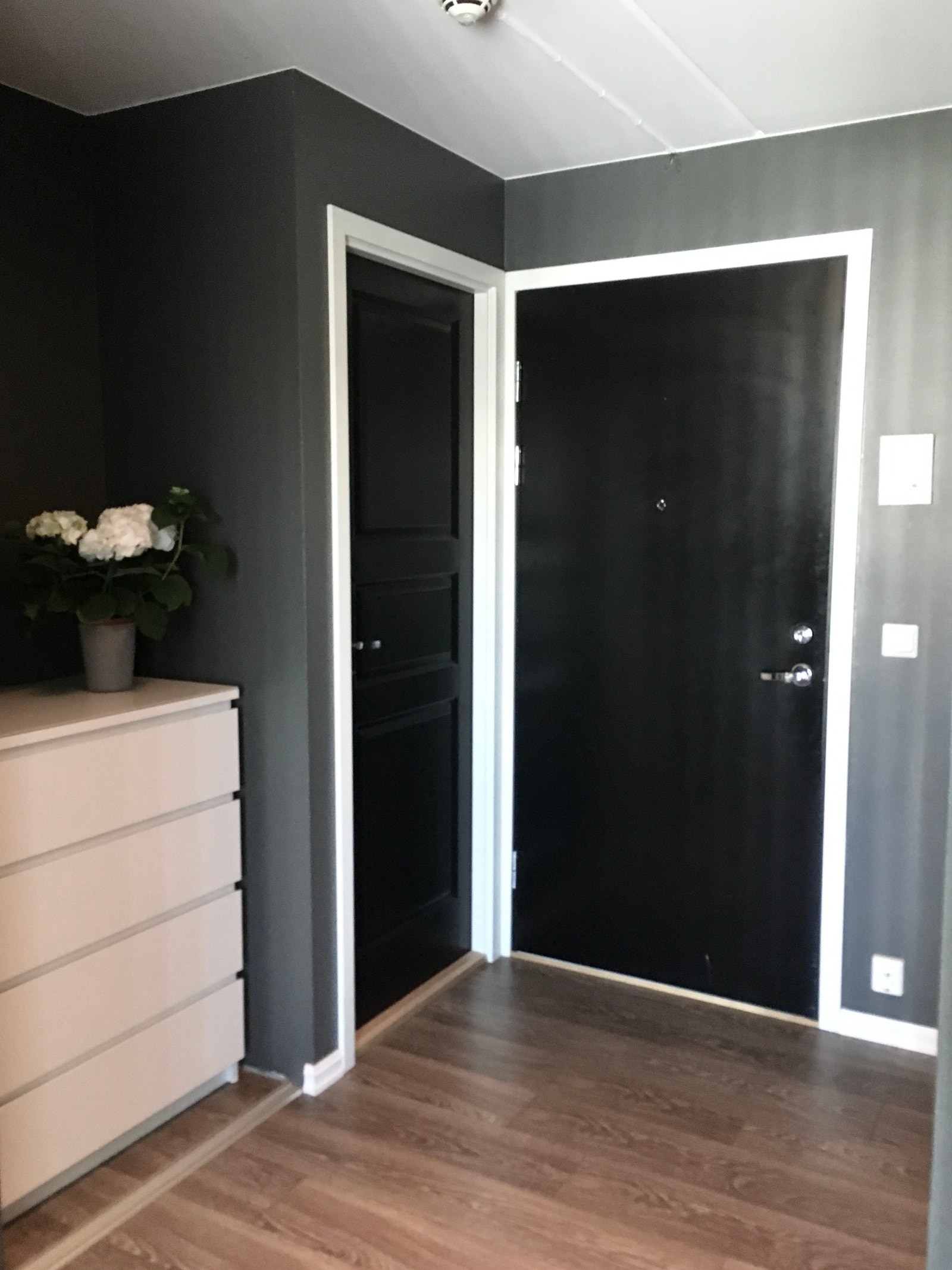 Inngangsdør med lagring i nisje Galleribilde