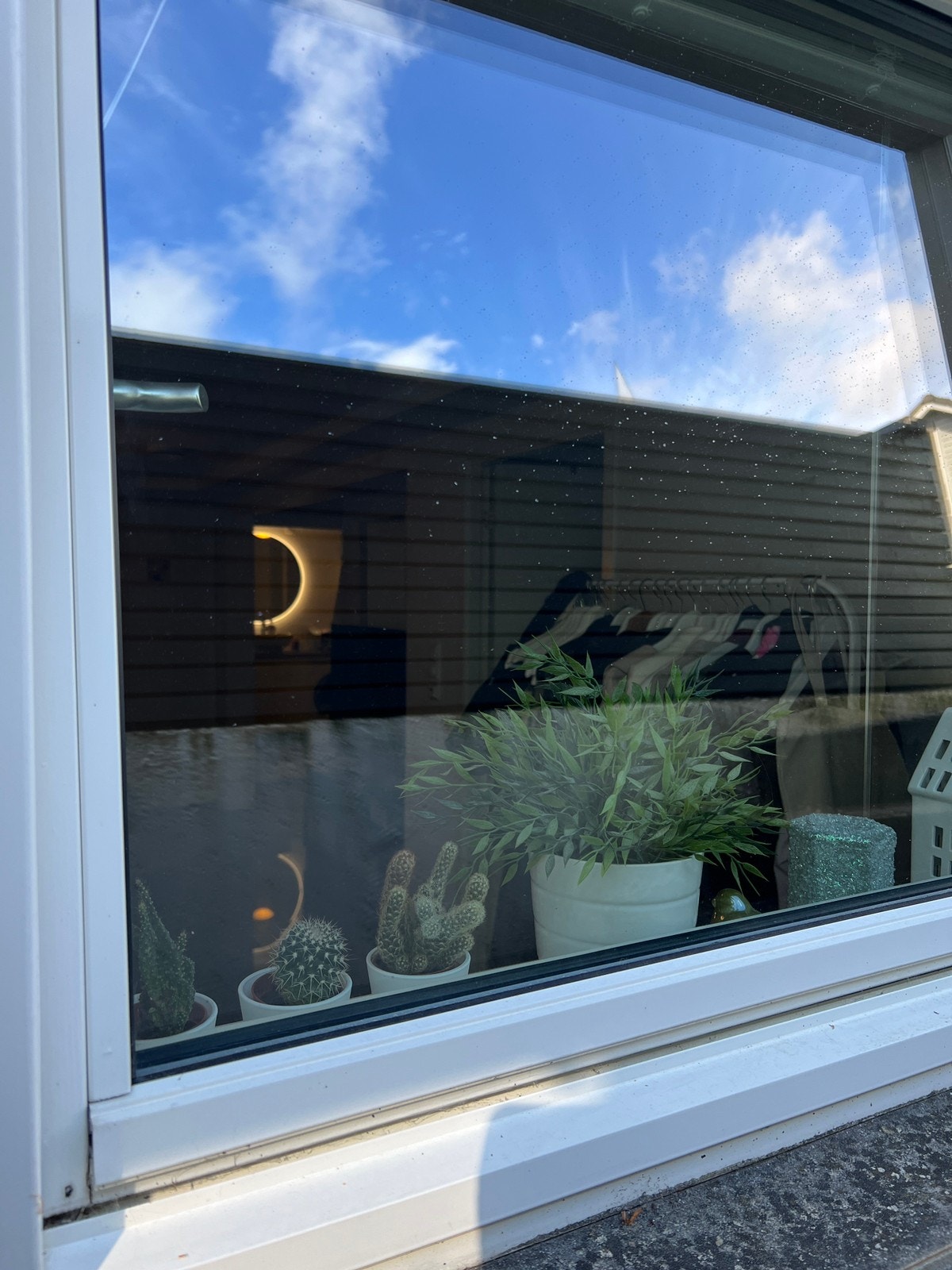 vindu mot kjellerhals Galleribilde